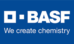 BASF raises TDI prices in Asia-Pacific (excluding Chinese Mainland) and MEAF